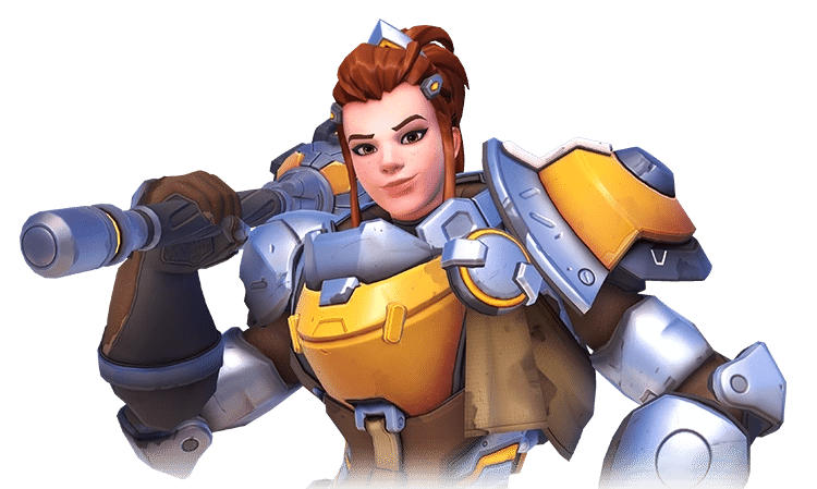 overwatch brig